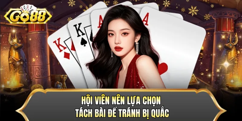 Hội viên nên lựa chọn tách bài để tránh bị quắc